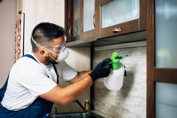 Best Pest Control for Restaurants  in Smithville, MO