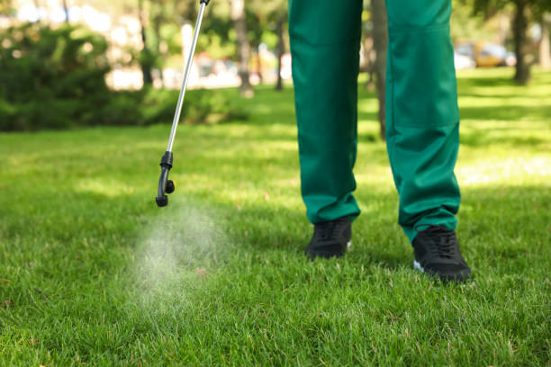 Best Mosquito Control Services  in Smithville, MO