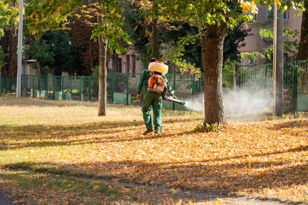 Best Wasp Removal Services  in Smithville, MO