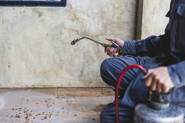 Best Flea Control Services  in Smithville, MO